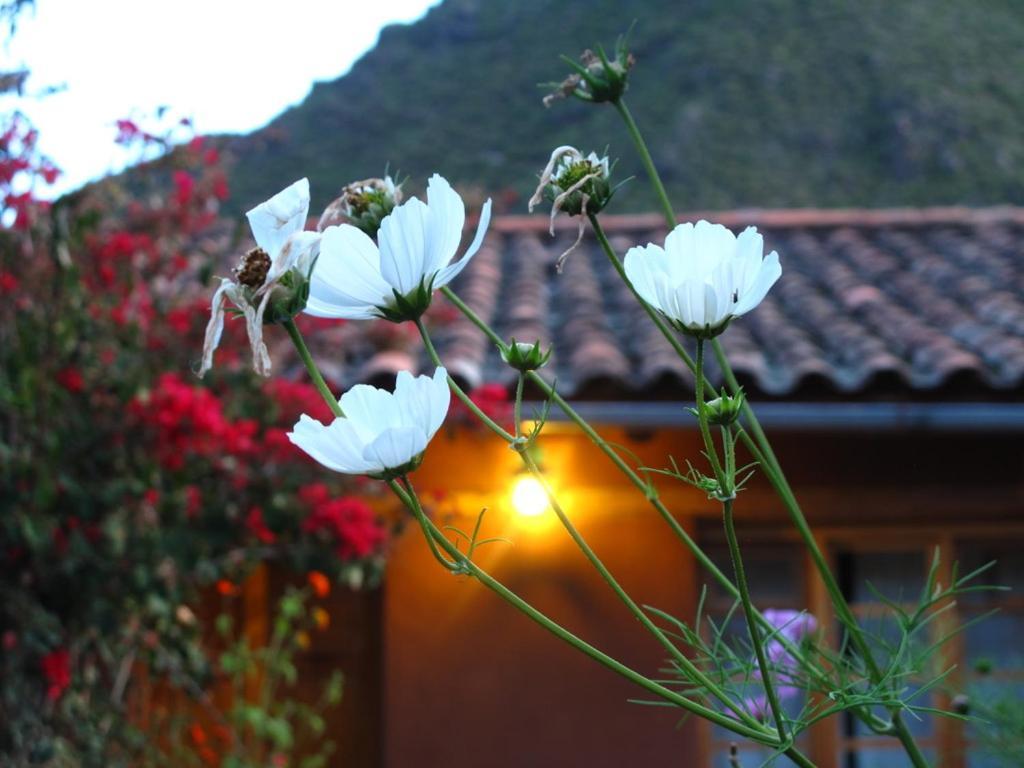 CalcaCasa De Aida公寓 外观 照片