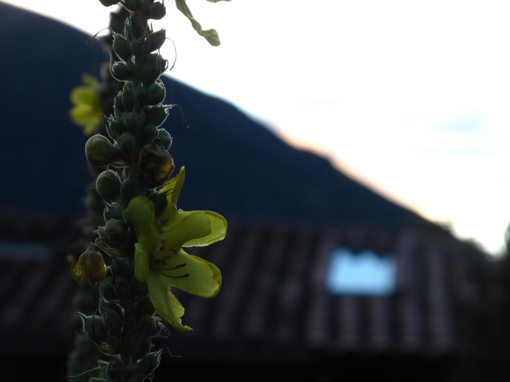 CalcaCasa De Aida公寓 外观 照片