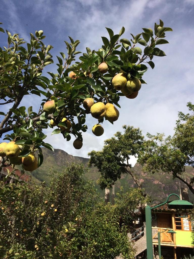CalcaCasa De Aida公寓 外观 照片
